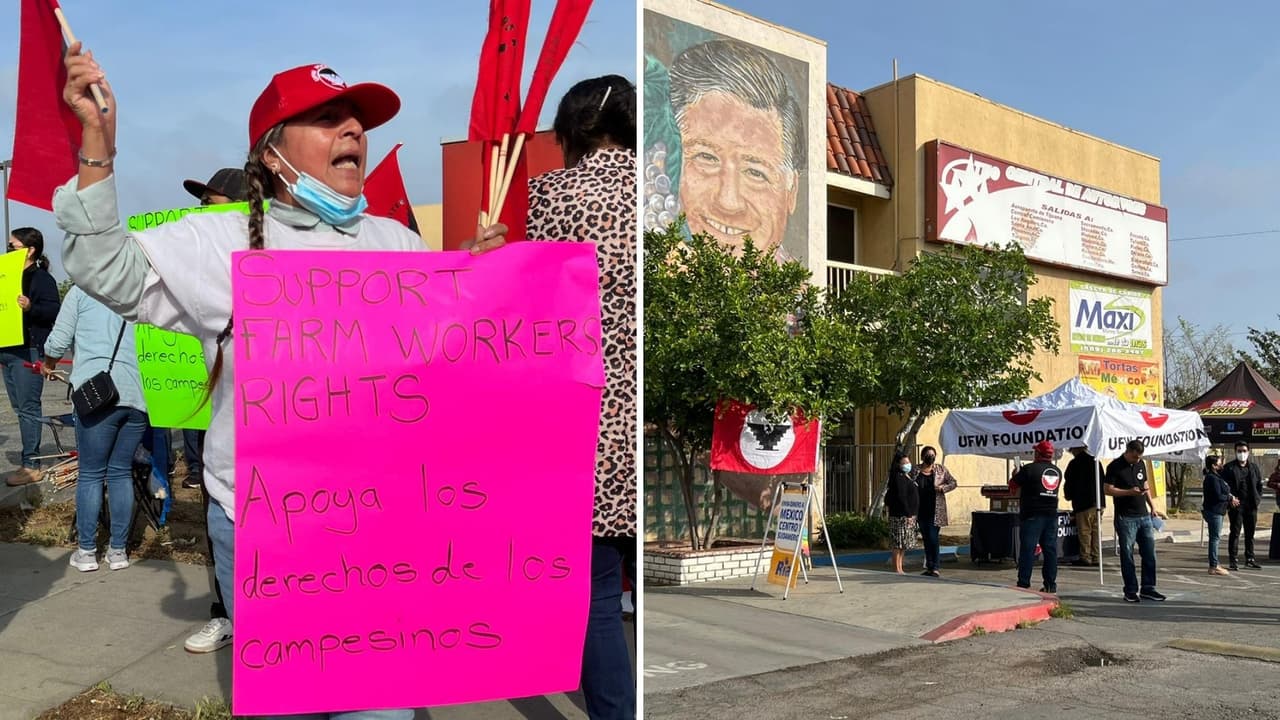 “Estamos en la lucha”: trabajadores del campo piden mejores condiciones y firma en ley en el Día de César Chávez