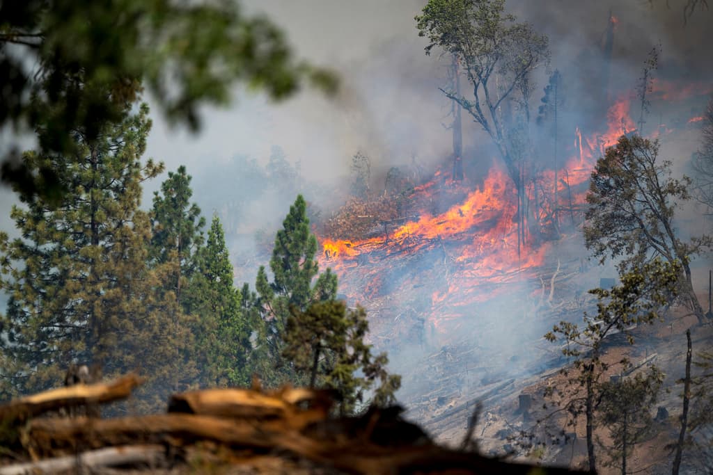 El domingo 28 de julio, el incendio Park se acercaba a la autopista 32, muy cerca de Forest Ranch.