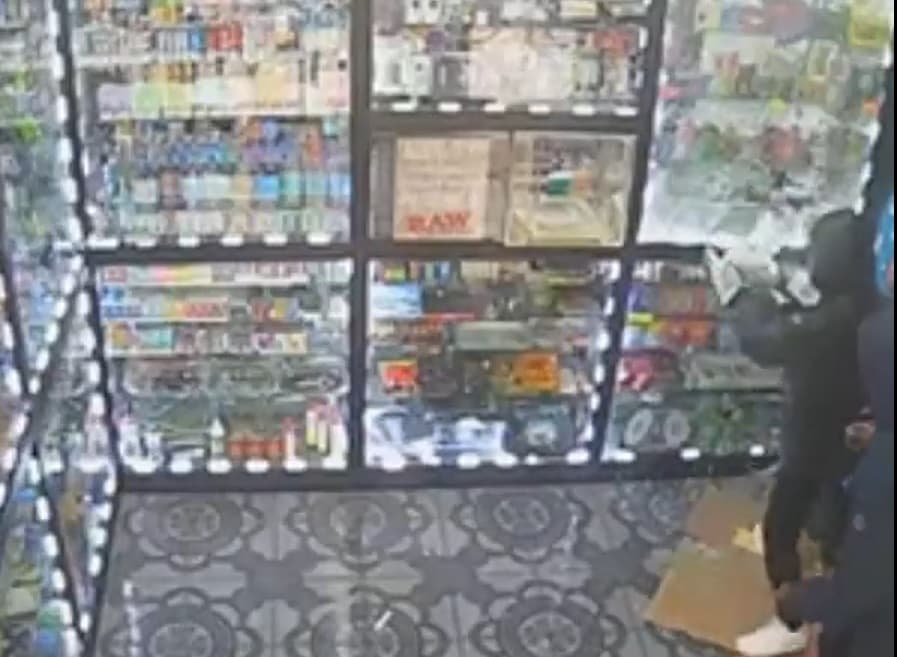 Sospechosos rompen vidrio de mostrador para robar productos de CBD de tienda en Brooklyn