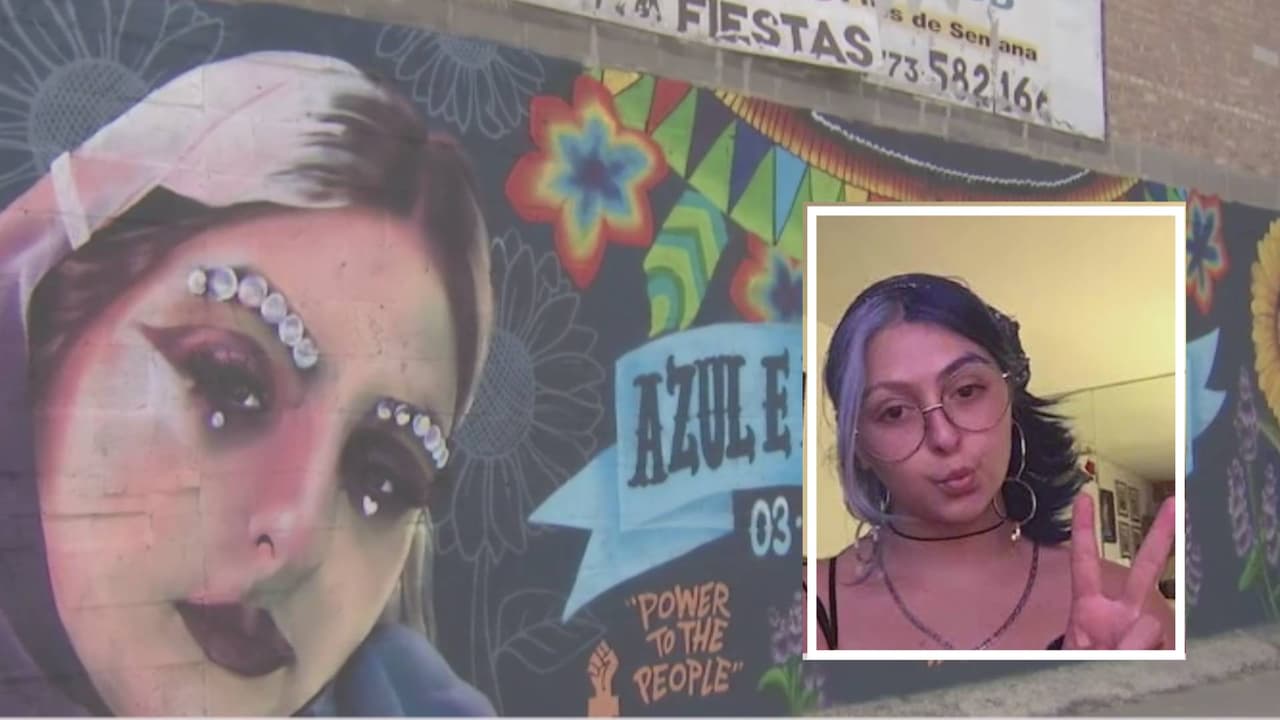 Artista en Chicago pinta mural en honor a Melissa de la Garza, joven asesinada en West Elsdon: mira cómo quedó