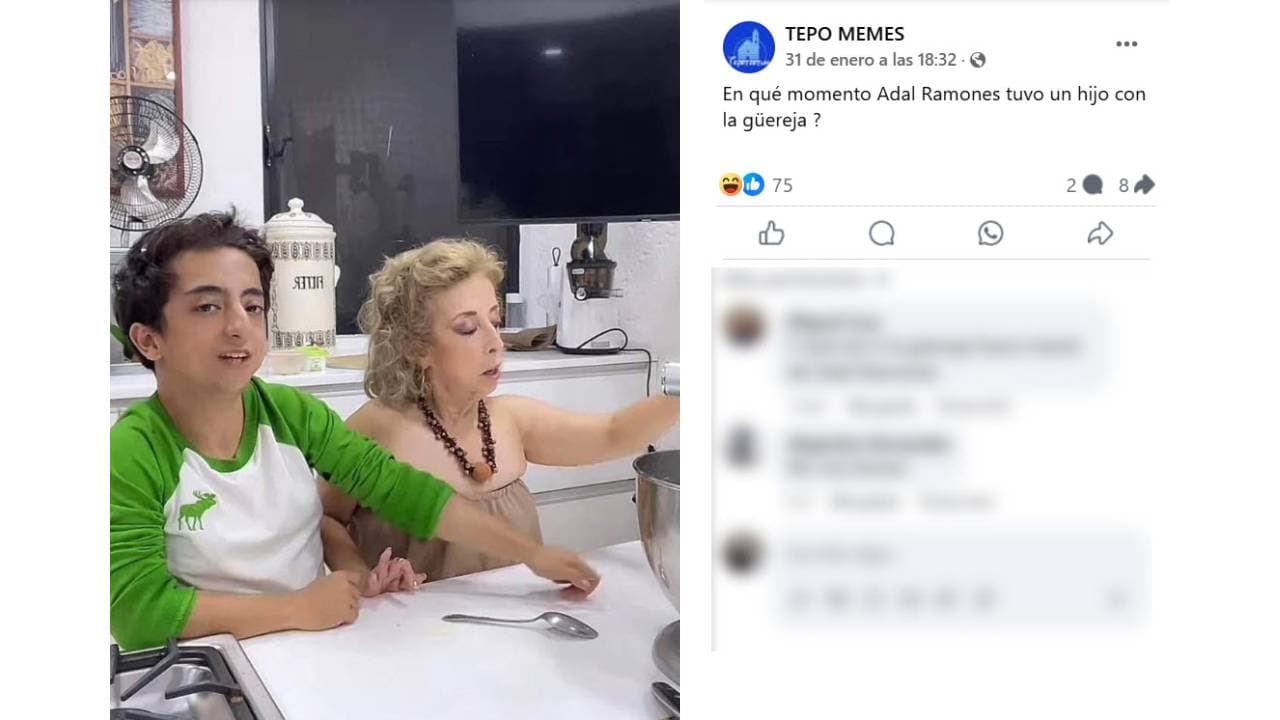 María Elena Saldaña 'La Güereja' y su hijo Felipe en meme viral.