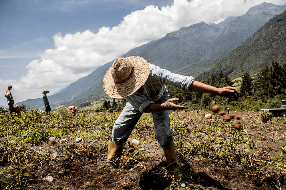 "La Tierra es de quién la trabaja", Diko