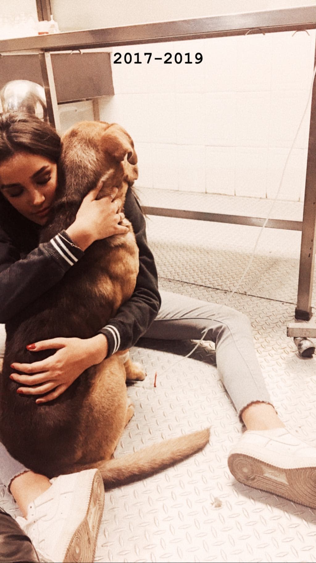 Los detalles de la muerte no fueron revelados, sin embargo, Alejandra compartió un par de fotografías donde se ve acompañando a su perro en lo que parece un hospital veterinario.
<br>