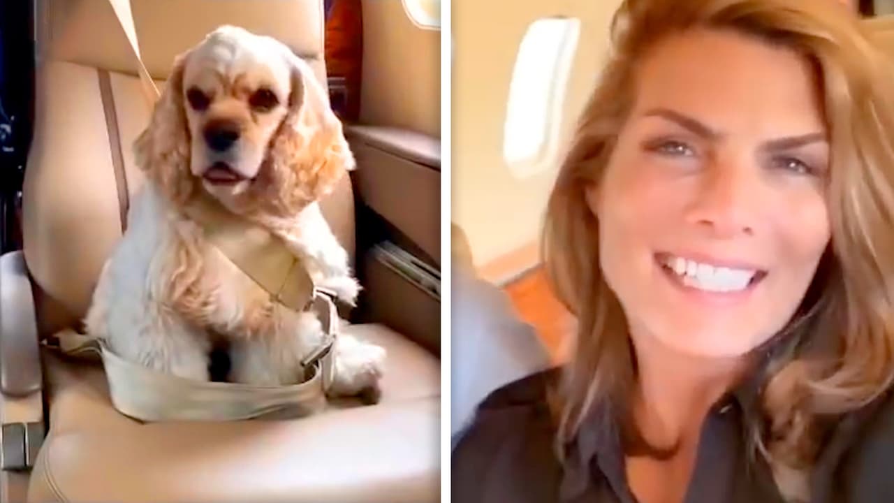 La perrita de Montserrat Oliver viaja en jet privado con ella en su propio asiento (y con cinturón de seguridad)