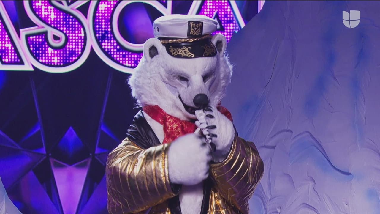 Oso Polar ahora incursionó en el género de reggaetón y puso bailar a todos. Los 'investigadores' dijeron los nombres de Franco Escamilla, Yahir, Jesús Ochoa y Reyli Barba, como posible personalidad detrás de este personaje.