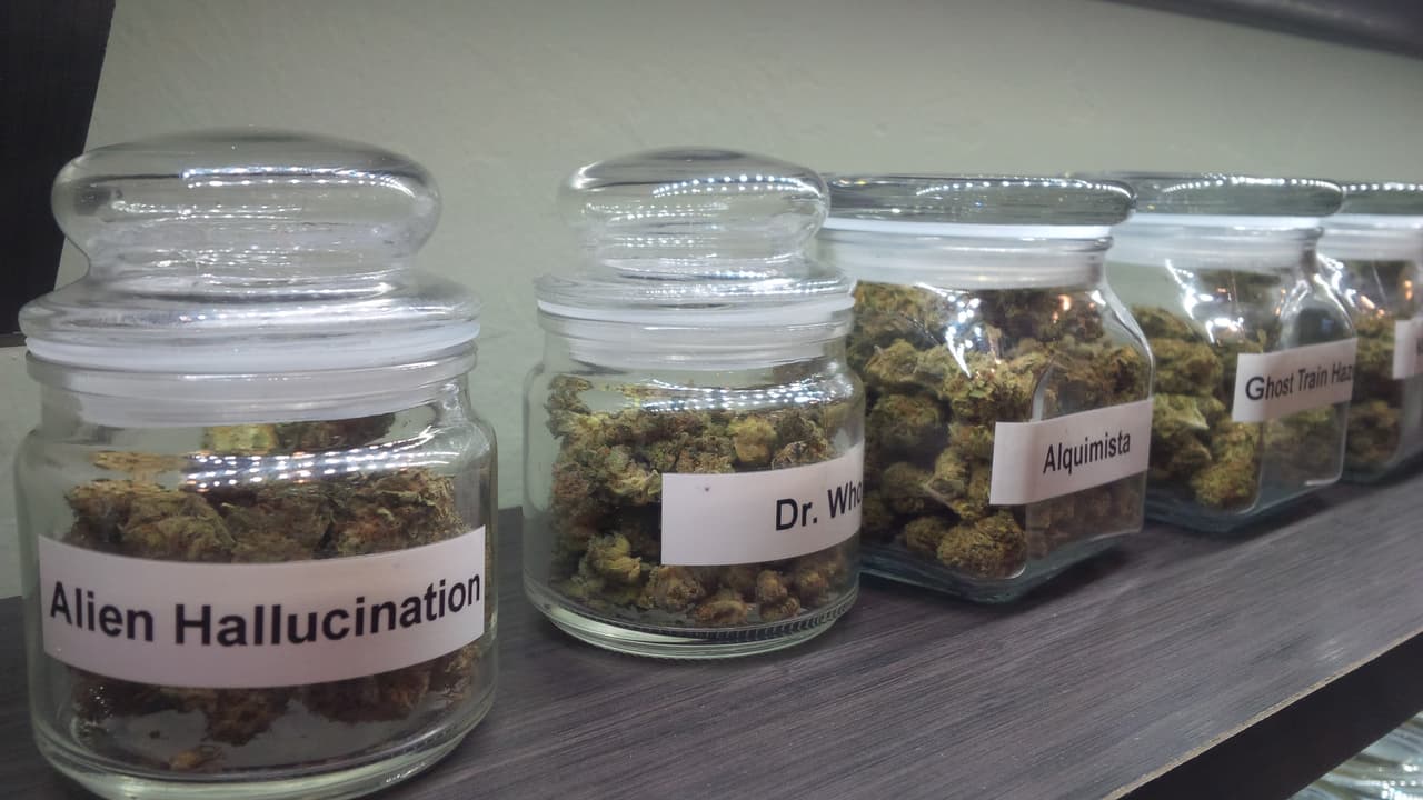 Arizona y California deciden en noviembre legalidad de marihuana recreativa