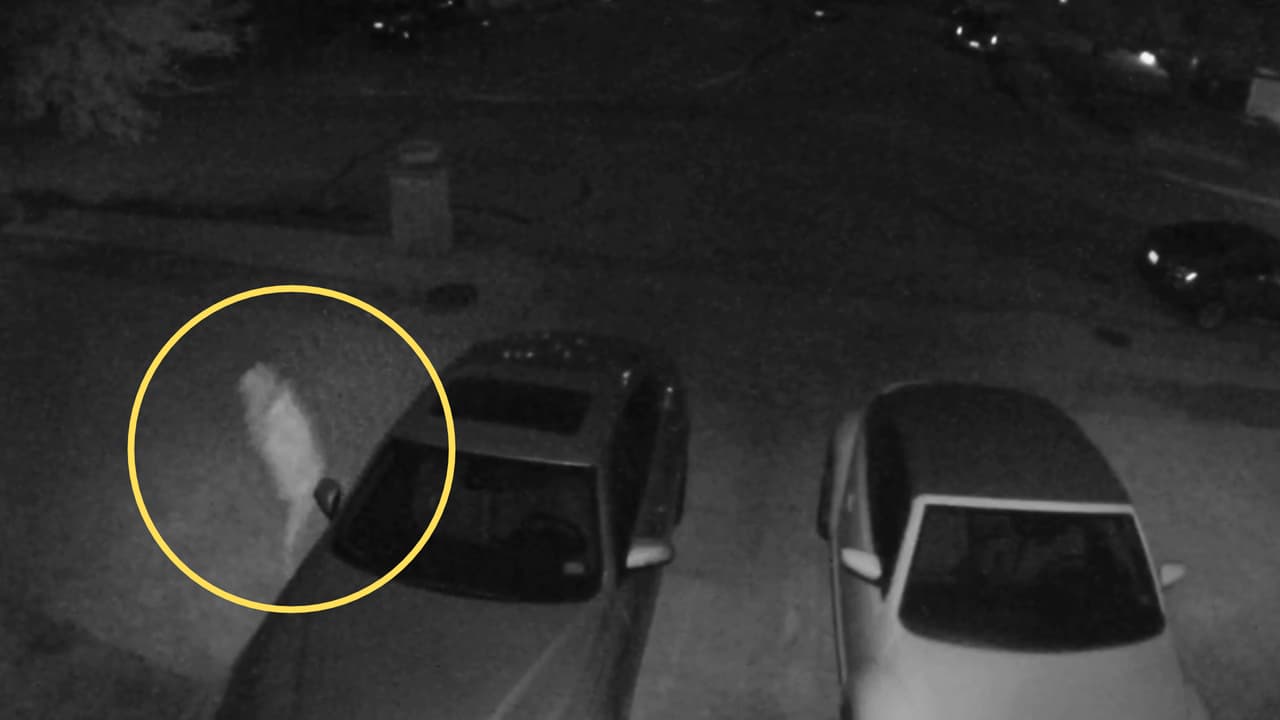 <h3 class="cms-H3-H3">¿Qué encontró la policía al revisar el video?</h3> La escena quedó grabada por 
<b>la cámara del timbre. </b>
<br>
<br>Sin embargo, las imágenes no permitieron conocer la identidad del visitante 
<b>ni explicar por qué se presentó frente a esa casa con una máscara y una banana.</b>
<br>
<br>El Departamento de Policía de Watauga informó que 
<b>los agentes revisaron la grabación y no encontraron pruebas de que se hubiera cometido un delito. </b>
<br>
<br>Mientras tanto, en redes sociales comenzaron a circular 
<b>publicaciones sobre supuestos encuentros similares en el vecindario. </b>
<br>
<br>La policía conoce esos comentarios, pero aseguró que 
<b>no ha recibido otras denuncias directamente relacionadas con esta persona. </b>
<br>
<br>Por ahora, 
<b>tampoco hay información que permita establecer si ha visitado otras viviendas.</b>
<br>
<br>
<a href="https://www.whatsapp.com/channel/0029VafZxTzGpLHXXhtL0Y3A" target="_blank">📲 Únete a nuestro canal de WhatsApp: Haz clic aquí para estar al tanto de las últimas noticias e historias de tu comunidad</a>