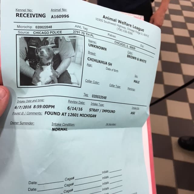 Dos buenos samaritanos alertaron a la policía e informaron que habían visto al perro caminando por la calle y estaban preocupados por su seguridad.