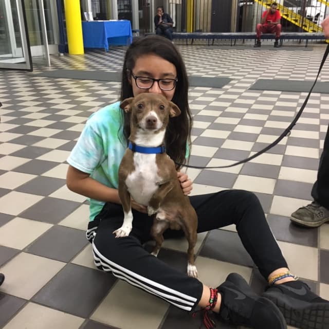 Esta es la imagen del feliz reencuentro.