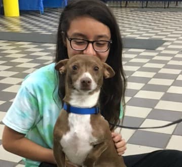 El perro "Chiquito" regresó a casa.