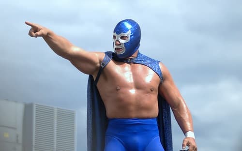 <b>Blue Demon</b>, nacido bajo el nombre de 
<b>Alejandro Muñoz Moreno</b> en 1922, hizo su debut como luchador a los 26 años, en 1948, y se retiró a los 67, en 1989. Murió en 2000 cuando tenía 78 años. Su distintivo fue una máscara azul con antifaz plateado.