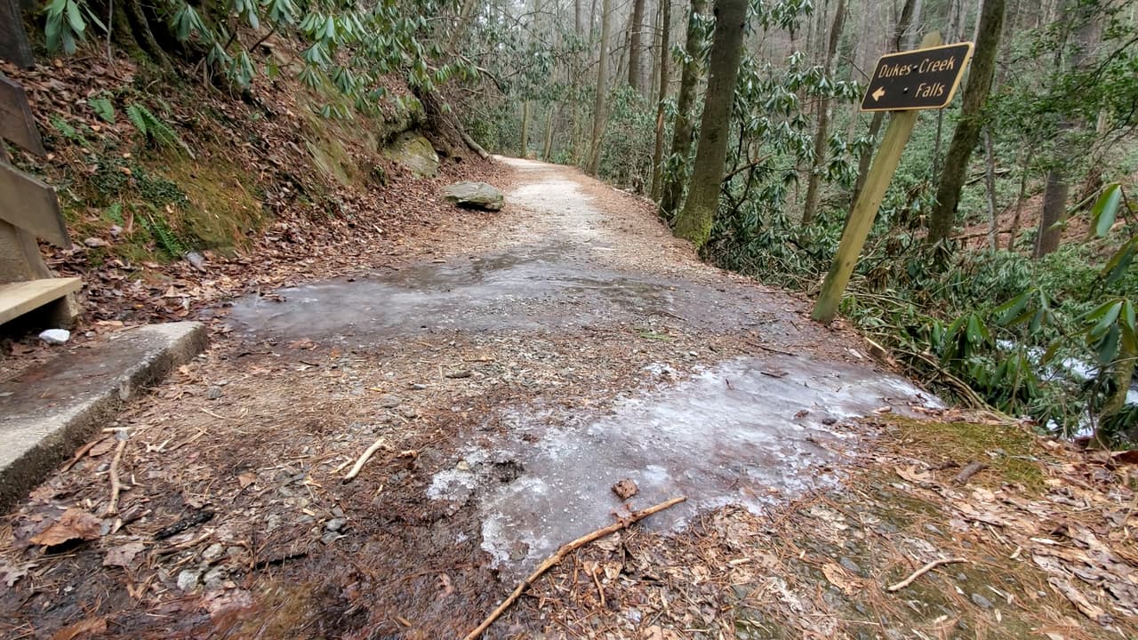 El camino te llevará por plataformas de madera y terrenos de tierra y grava.