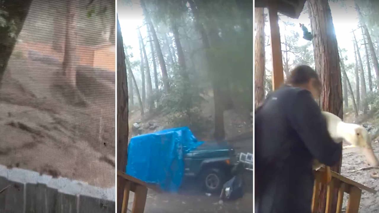 Video muestra la fuerza de los deslaves de lodo en las montañas del sur de California