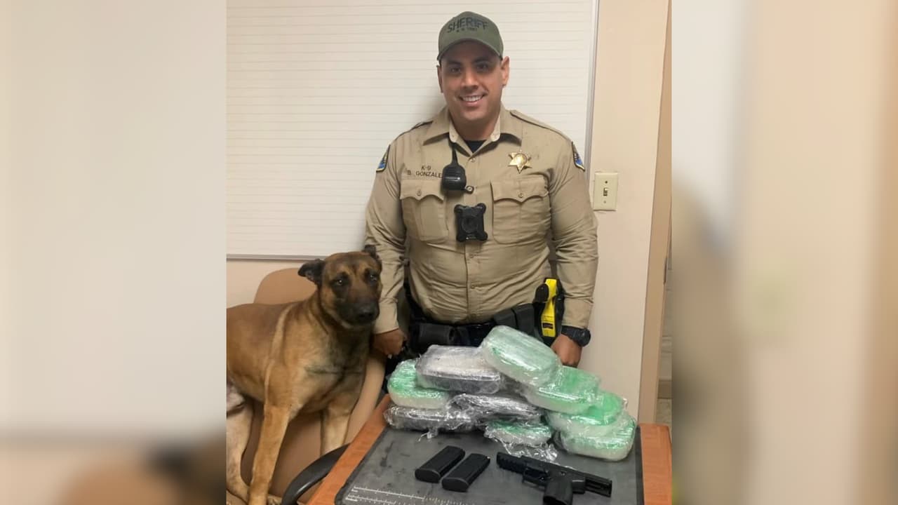 Perro policía detecta más de 4 kilos de metanfetamina en el Condado de Tulare 