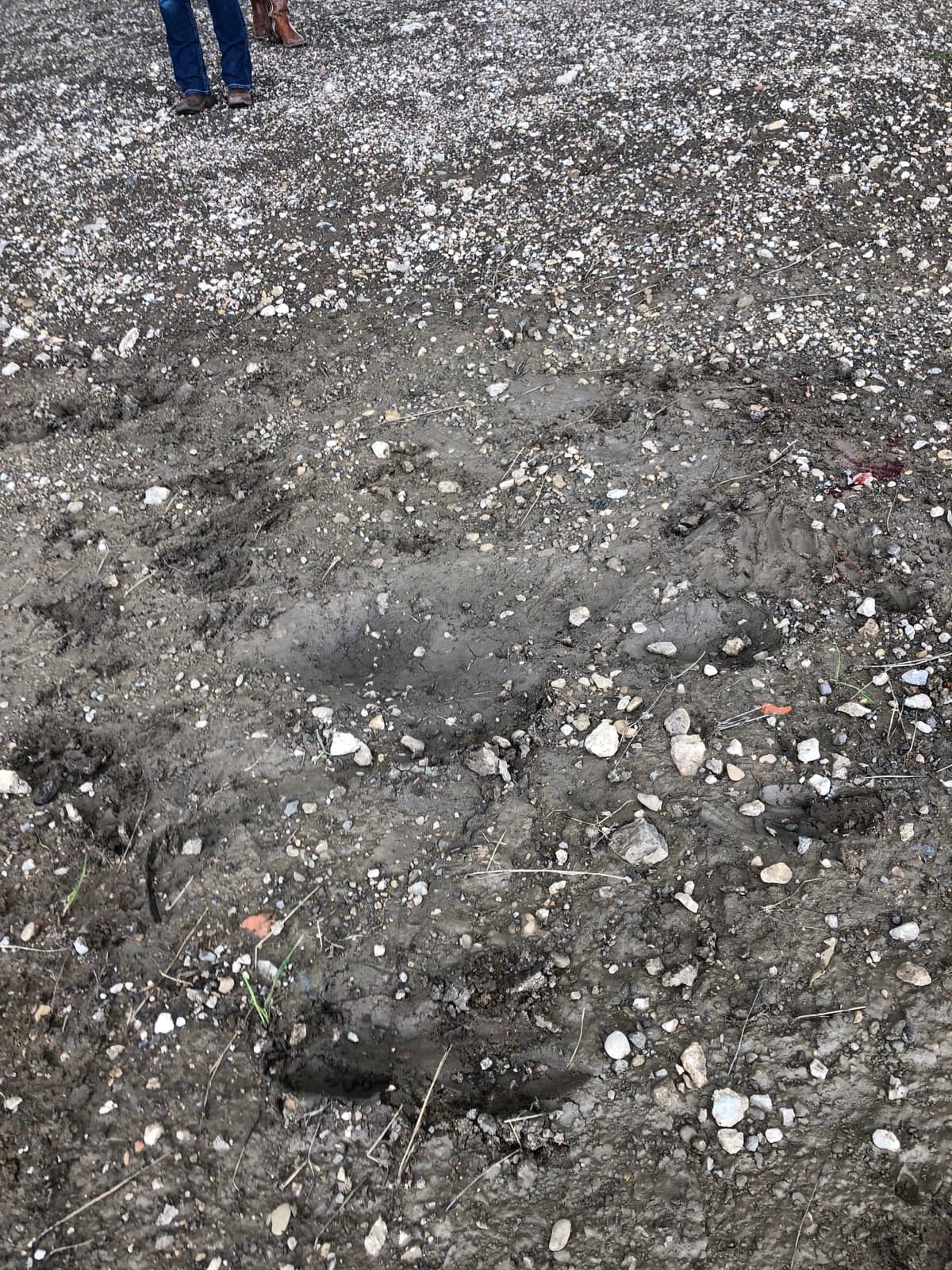 Esta foto muestra el lugar exacto en el que Tristan aterrizó luego de caer del puente.