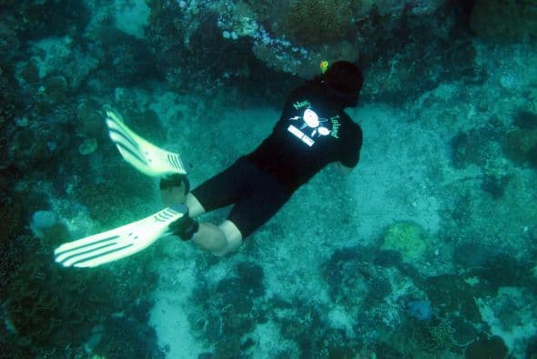 7. BUCEO - De acuerdo con la Asociación Profesional de Instructores de Buceo, en todo Estados Unidos podrían existir entre 1.6 y 2.9 millones de buzos activos. Para realizar esta actividad se requiere una licencia y la capacitación puede durar desde unos días hasta varios meses. Según Larry "Harris" Taylor, bioquímico y coordinador de seguridad de buceo de la Universidad de Míchigan, al año hay en promedio 150 muertes causadas por el fallo del equipo, ascenso o descenso inadecuado y paros cardiacos.
