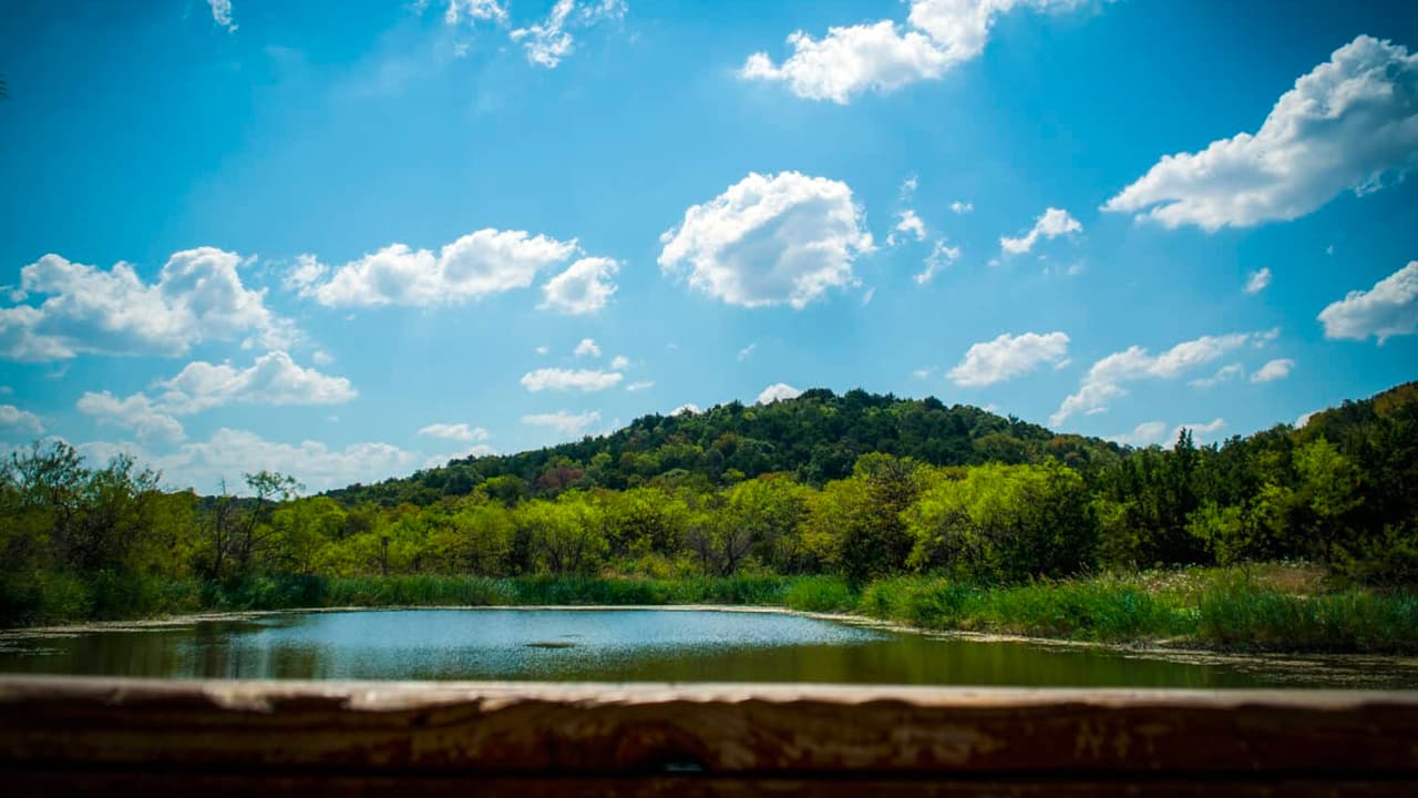 <b>Cedar Brake Trail:</b> Longitud: 
<b>2.2 millas (3.5 kilómetros). </b>Es parte de una serie de varios caminos y senderos que rodean la Reserva de Cedar Ridge. En este tramo puedes disfrutar allí de parte de la vida silvestre, por ejemplo, flores y pájaros que llenan el lugar de colores, a solo 20 minutos de la ciudad de Dallas.