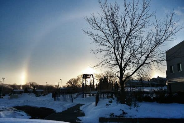 Desde Saint Paul, Minnesota, Rosita Huerta, captó el bello paisaje de un árbol seco con nieve alrededor.