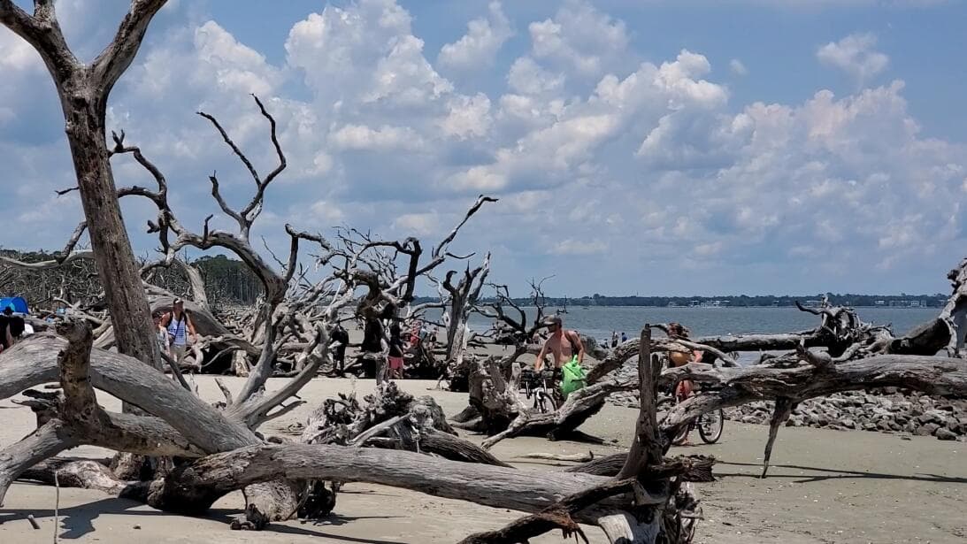 Conoce más sobre Driftwood Beach, 
<b><a href="https://www.univision.com/local/atlanta-wuvg/driftwood-beach-playa-de-georgia-que-esta-entre-las-mejores-de-ee-uu-y-del-mundo-para-visitar-este-2023-fotos">aquí</a></b>.