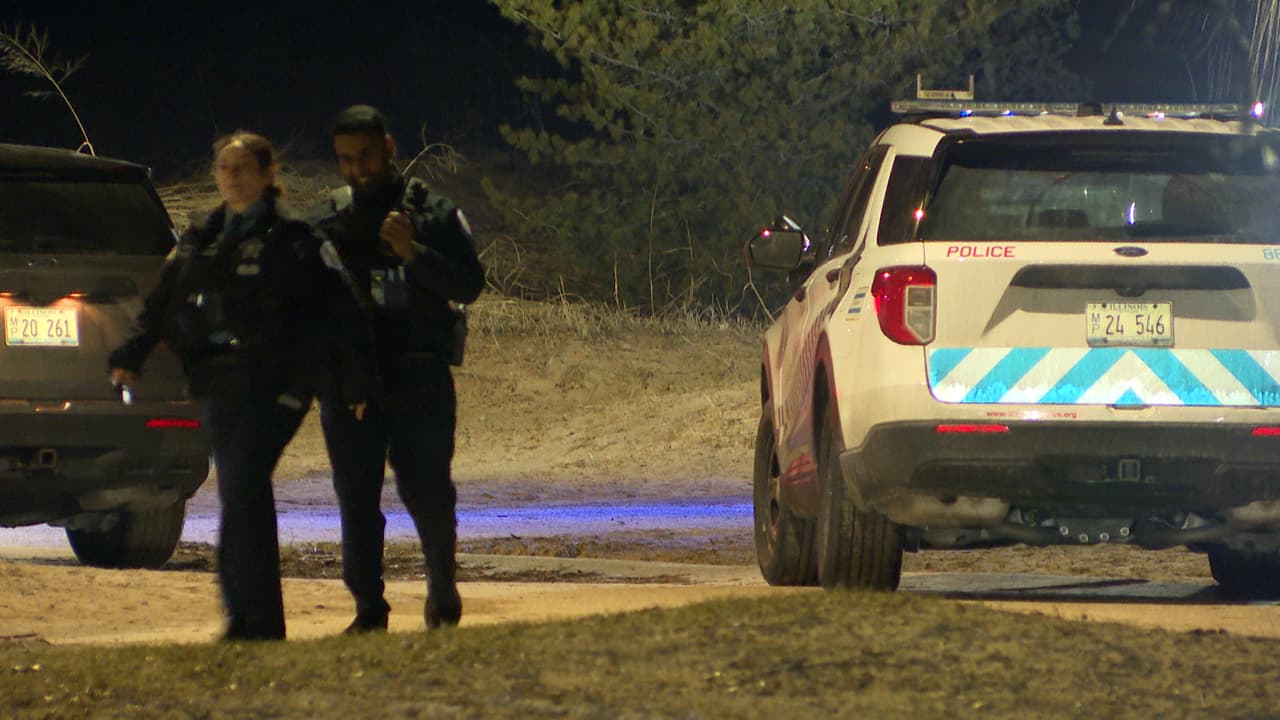 La estudiante de 
<b><a href="https://www.univision.com/local/chicago-wgbo/muere-una-mujer-de-18-anos-en-tiroteo-cerca-de-rogers-park" target="_blank">18 años Sheridan Gorman,</a></b> asesinada la madrugada 
<b>del jueves 19 de marzo mientras caminaba con un grupo de amigos cerca de su universidad. </b>
<br>
<br>De acuerdo con reportes policiacos un hombre 
<b>con el rostro cubierto se le acercó y le disparó por la espalda.</b> El presunto 
<b>responsable ya ha sido detenido por las autoridades.</b>