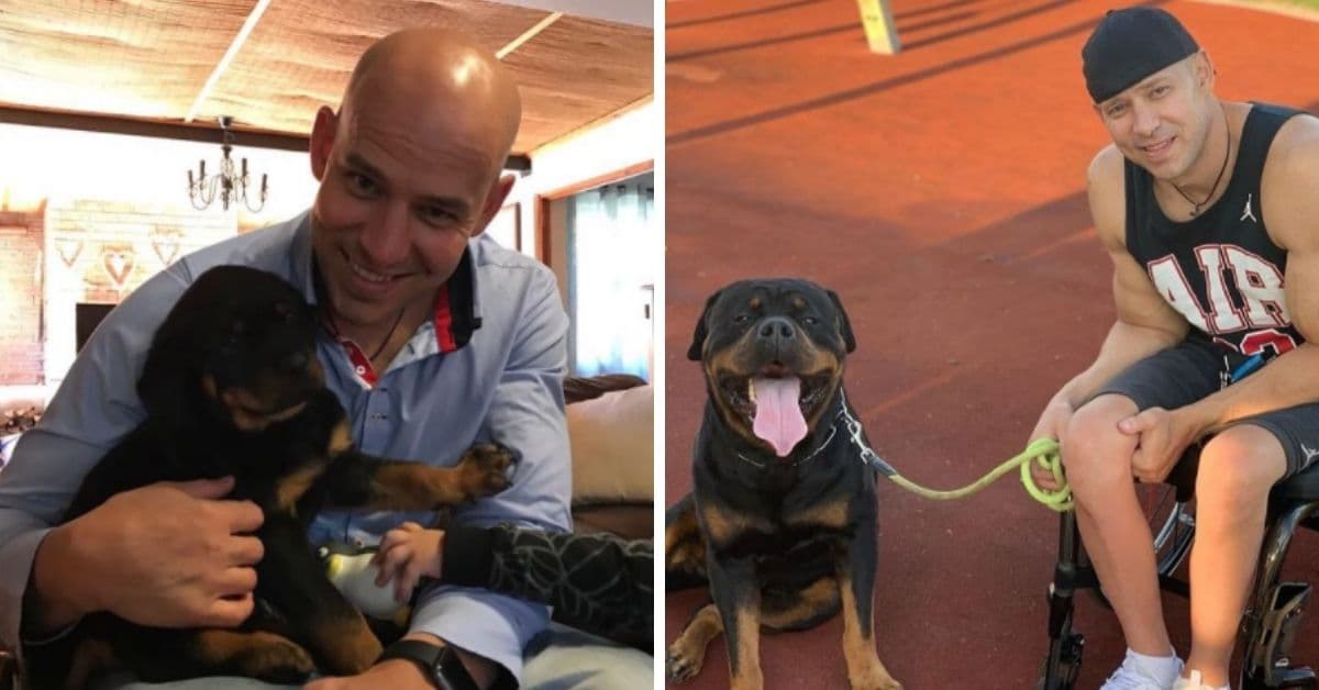 Hombre en silla de ruedas salvó a su perrito de ahogarse en la alberca: el emotivo momento