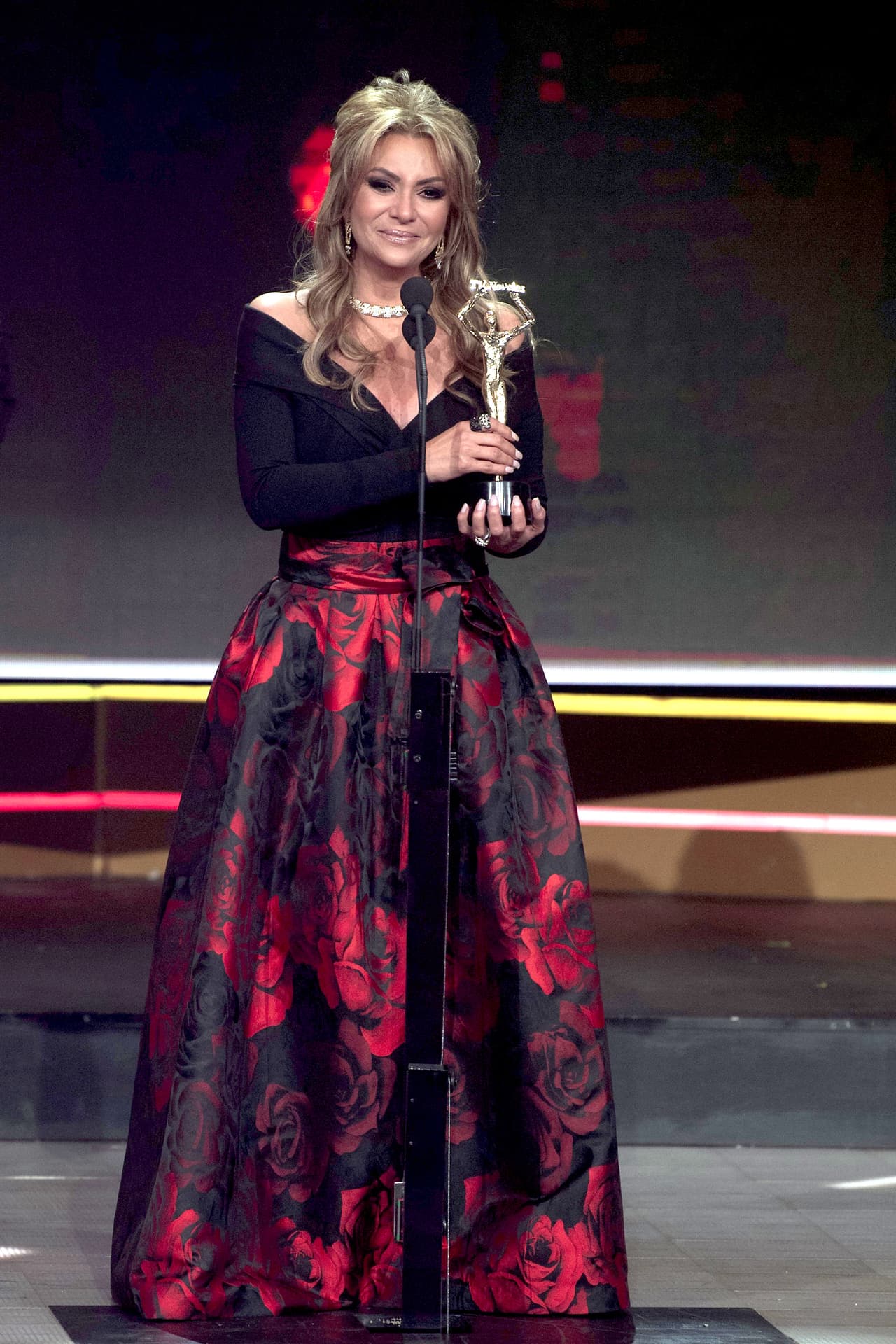 Su calidad actoral en 'Me declaro culpable' le dio el galardón a Mejor Villana en los 
<a href="https://www.univision.com/entretenimiento/humor-y-lagrimas-el-sello-de-la-noche-en-los-premios-tvynovelas" target="_blank"><b>Premios TvyNovelas 2018. </b></a>