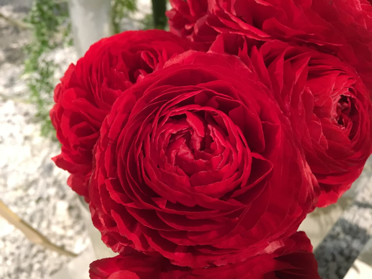 ¡Gracias por tanto, Mamá! 
<br>