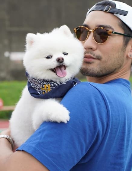 Godfrey Gao también 
<b>incursionó en el modelaje </b>y fue el primer modelo asiático en ser elegido por marcas como Louis Vuitton para la imagen de sus campañas publicitarias de 2011, según WWD.