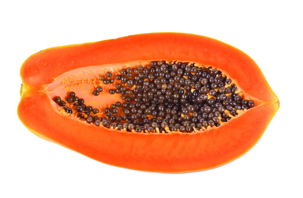 Como puedes apreciar, inclusive si no te gusta el sabor de la fruta, hasta con las hojas de la papaya puedes recibir múltiples beneficios, no sólo para tu salud, sino también para atraer el amor y alejar esas tóxicas energías de la mala gente.