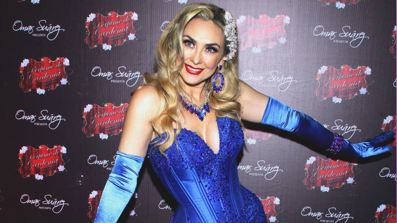 Aracely Arámbula casi estalla en llanto al cumplir un sueño