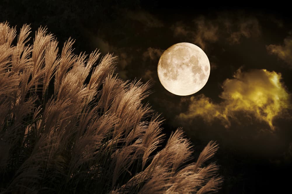 La Luna llena de la Cosecha marca un periodo de abundancia y prosperidad