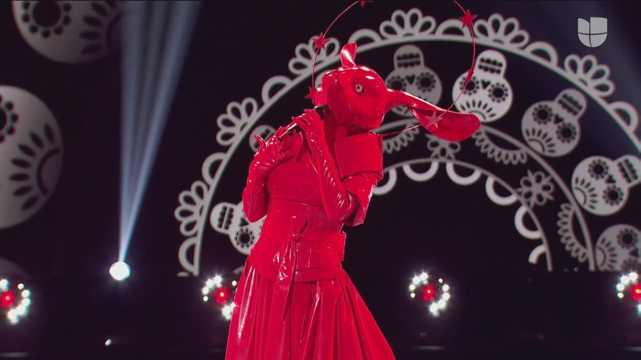 El escenario se pintó de rojo con la presencia de Conejo, quien cambió por completo de género al interpretar el tema ‘Te hubieras ido antes’ versión banda.