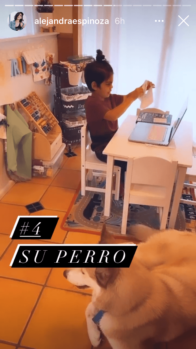 También a su perro. 
<br>