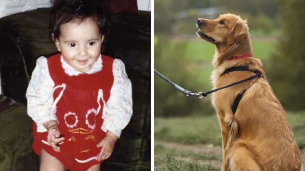 Guarda por años ropa de sus hijos para ponérsela a sus nietos: la termina usando el perro