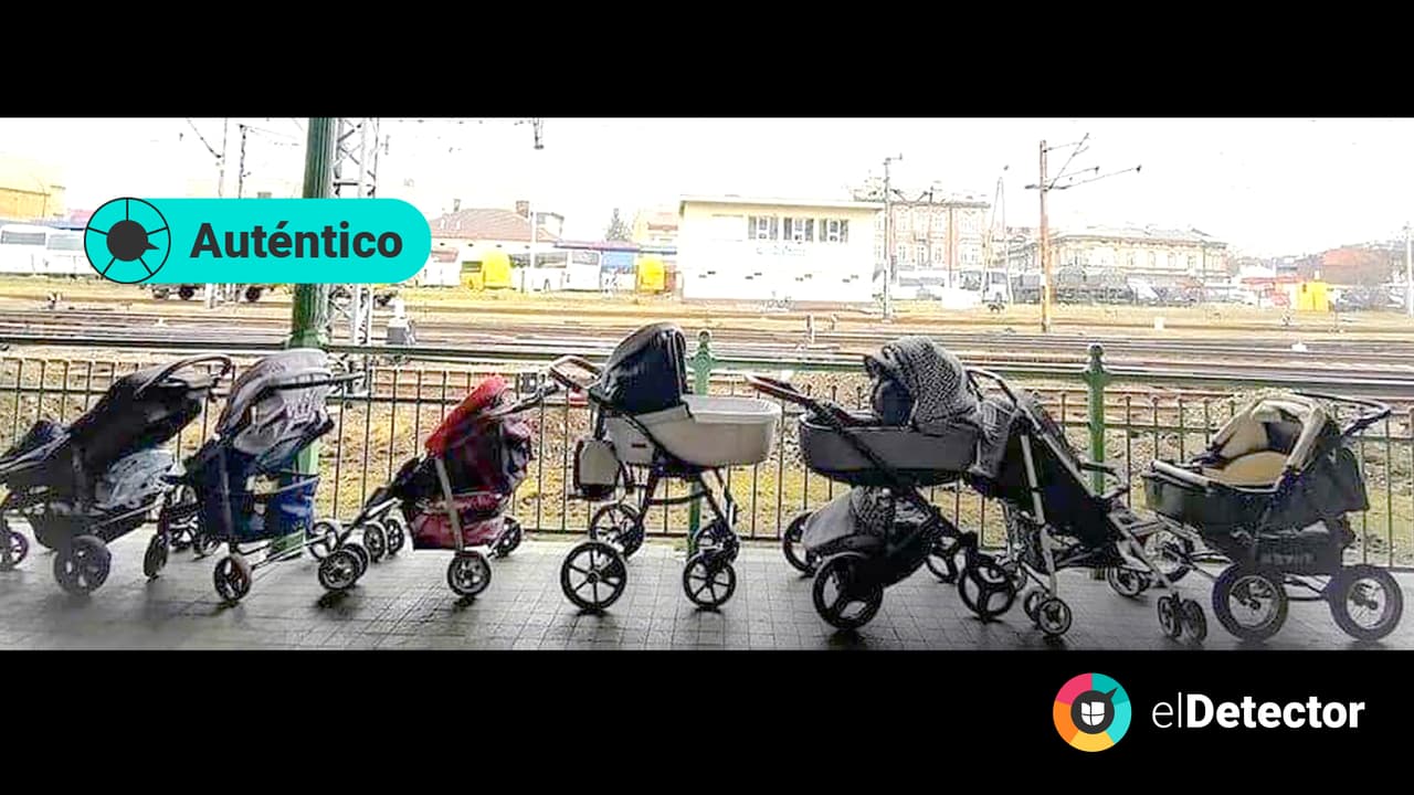 <h3 class="cms-H3-H3"><b>Carriolas dejadas en una estación de tren en Polonia para bebés ucranianos </b></h3>Es 
<b>auténtica</b> la fotografía que retrata una fila de siete carriolas puestas en una estación de trenes para que sean usadas por las mujeres ucranianas que huyen con sus bebés de la invasión rusa. Fue tomada por el fotoperiodista
<a href="https://twitter.com/MalavoltaF"><u> Francesco Malavolta</u></a> en la ciudad de Przemyśl, en Polonia, mientras cubría la migración forzada desde Ucrania hacia otros países fronterizos. 
<br>
<br>En 
<b>elDetector</b> hicimos una 
<b><a href="https://perma.cc/PCS7-WCS5" target="_blank">búsqueda inversa de imágenes </a></b> 
<a href="https://tineye.com" target="_blank">con la herramienta TinEye</a> y encontramos al autor de la fotografía, quien la compartió inicialmente desde su 
<b><a href="https://twitter.com/MalavoltaF">cuenta en Twitter</a></b>.
<br>
<br>La imagen se difundió luego en otras redes sociales como 
<a href="https://www.reddit.com/r/Damnthatsinteresting/comments/t7onq2/parents_in_poland_left_their_baby_strollers_in/?ref=share&ref_source=embed&utm_content=media&utm_medium=post_embed&utm_name=3117a2682a1e458a9135bb85d060e33e&utm_source=embedly&utm_term=t7onq2"><u>Reddit</u></a>. Malavolta
<a href="https://abcnews.go.com/GMA/News/moms-poland-leave-strollers-ukrainian-moms-crossing-border/story?id=83298525"><u> confirmó a </u><i>ABC News</i></a> que las carriolas fueron ubicadas en el andén de esa estación por madres polacas, en solidaridad con las mujeres que arriban con sus hijos más pequeños a esa ciudad huyendo de la guerra.
<br>
