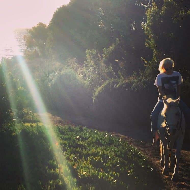 Además de Arabella, Lady Gaga tiene varios perros, gatos y hasta gallinas.