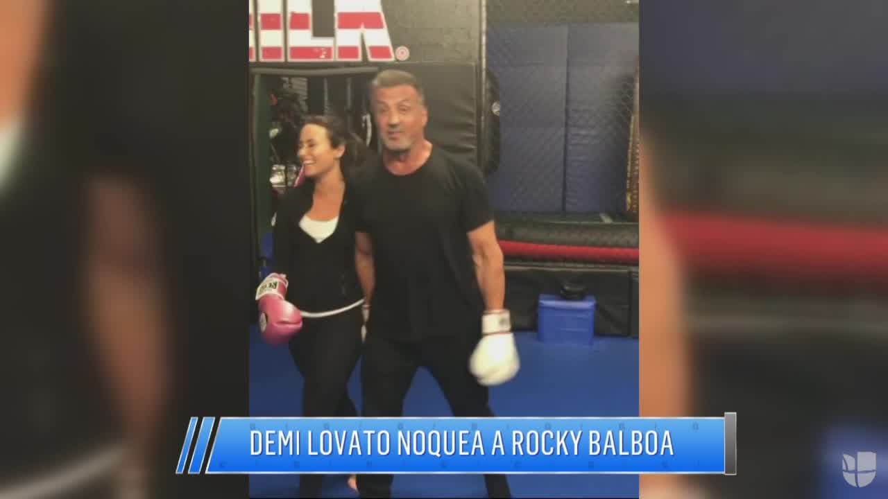 El famoso 'Rocky' Balboa la puso a la venta a finales de enero de 2021 por 
<b>110 millones de dólares, </b>pero durante meses no se logró vender a ese precio. 
<br>