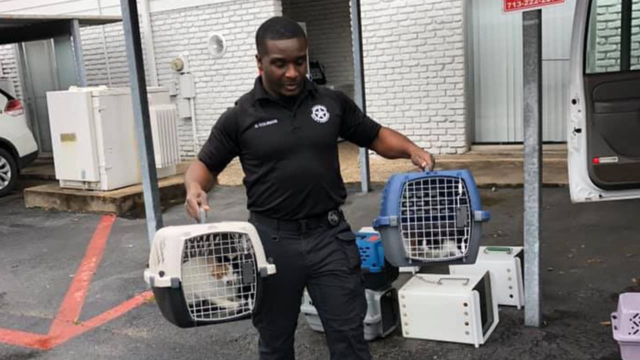 Las autoridades piden a la comunidad reportar casos de crueldad animal. Las informes se pueden suministrar al (832) 927-1659.