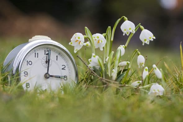 "Parece que con la masificación del móvil, ya nadie usa el reloj, ni siquiera miran la hora porque todo el mundo llega tarde a todos lados. Me encantaría que volviera la costumbre de tomarse un horario en serio", nos revela Tita, una profesora de danza de 54 años.