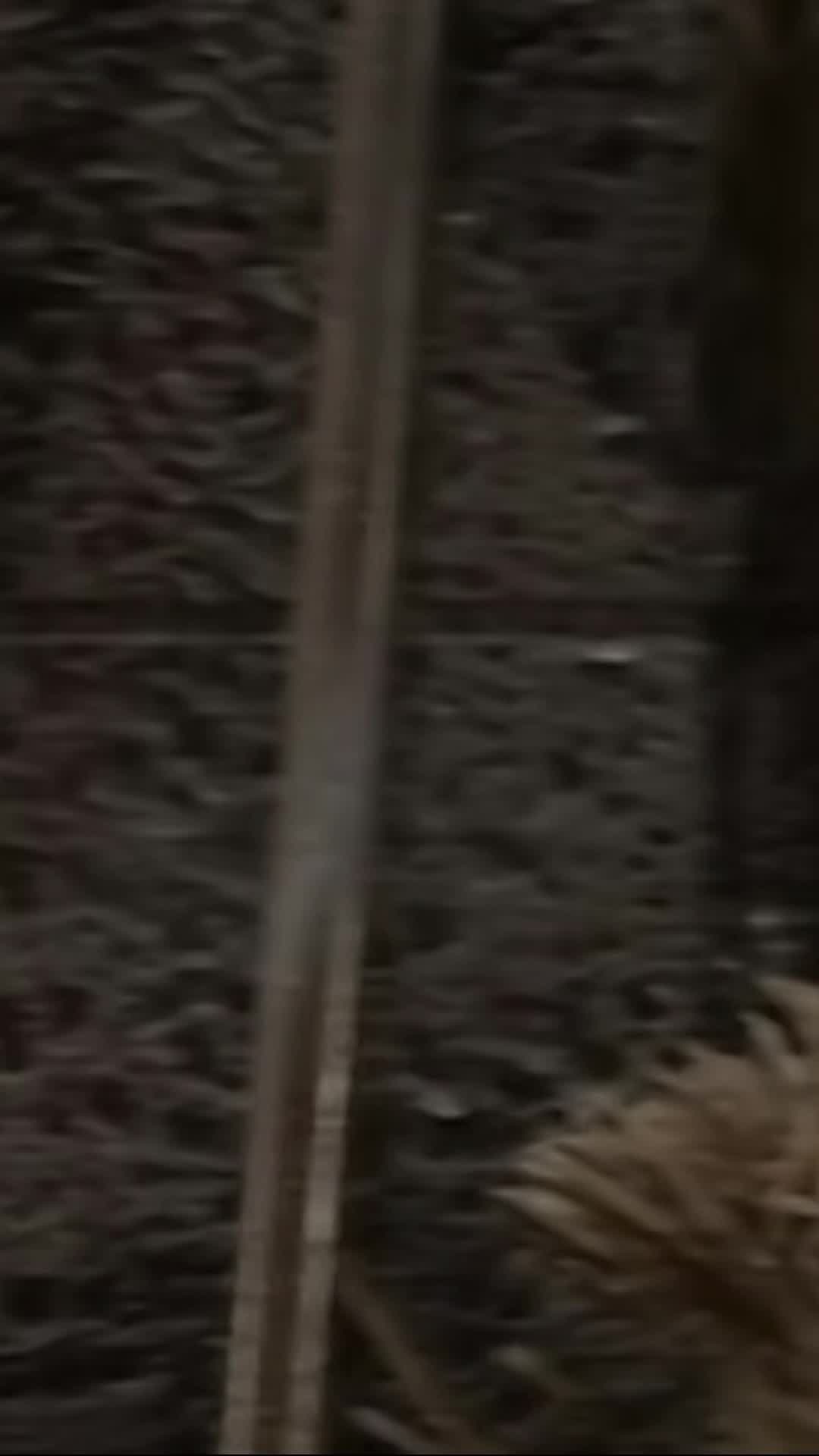 por andar de chistosito el Lonje Moco casi pierde un dedo