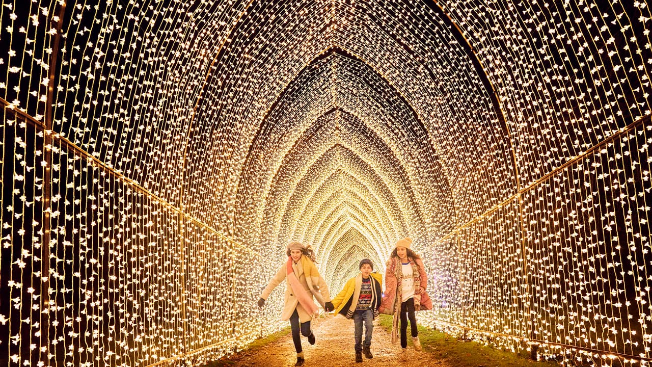 En "Winter Cathedral" miles de luces led parpadean en forma de arco para provocar alegría entre todos los visitantes.