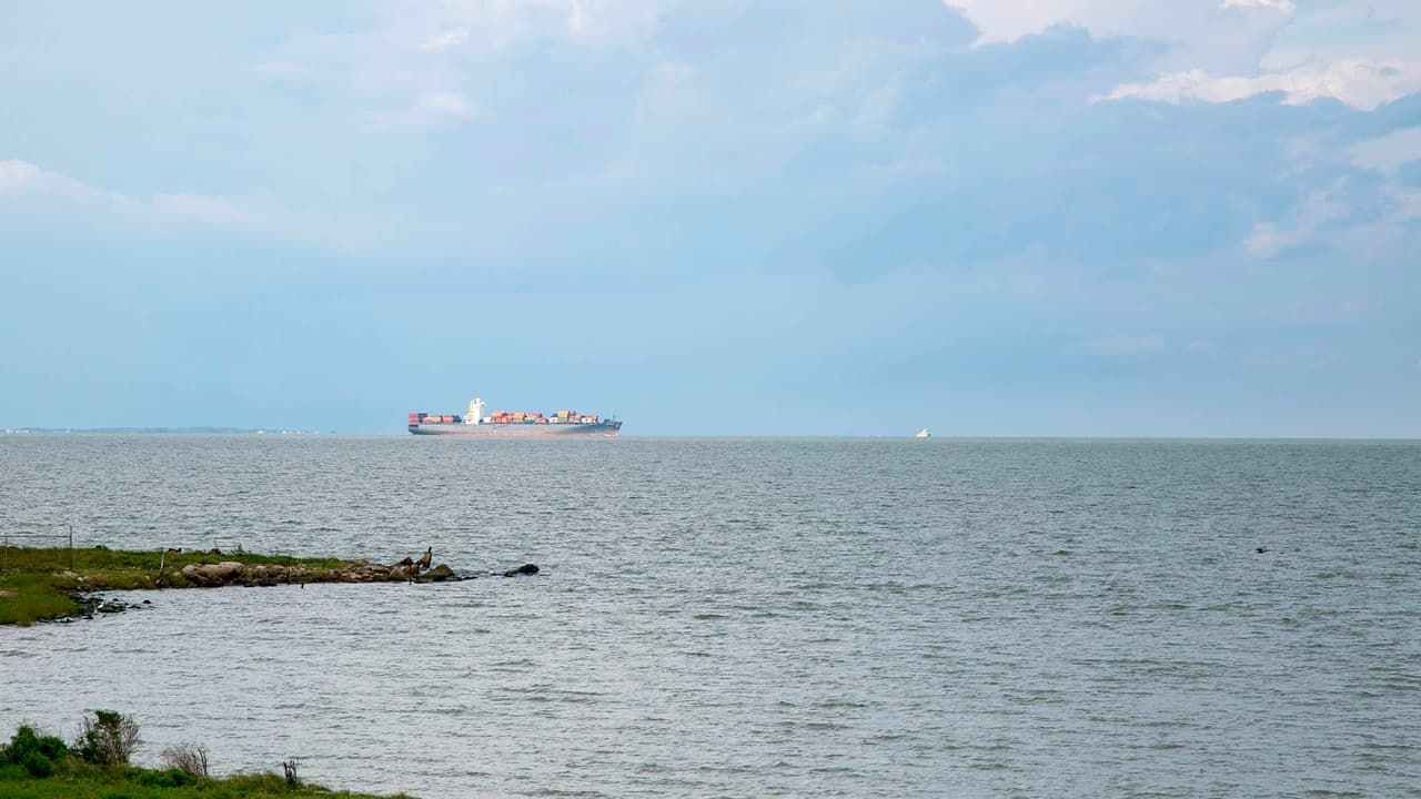 Si deseas llevar a tu familia a un destino diferente y sin ser costoso, puedes recorrer este paseo en Texas City.