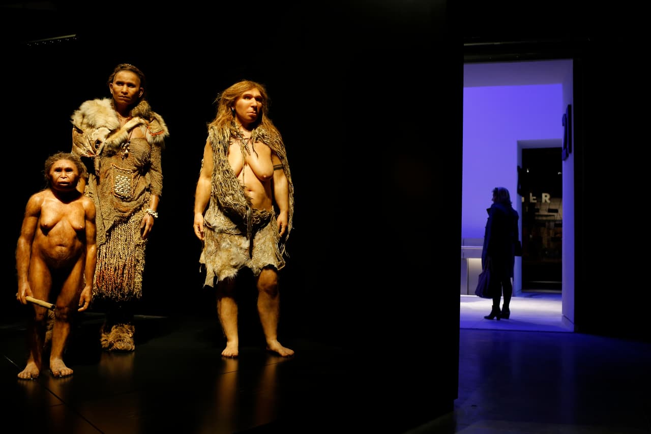 Entre neandertales y sapiens hubo sexo, pero poco amor, y solo una de las dos especies sobrevivió 