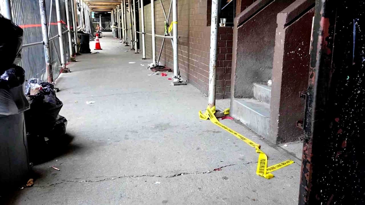 Tiroteo masivo en Coney Island de la noche del 4 de julio