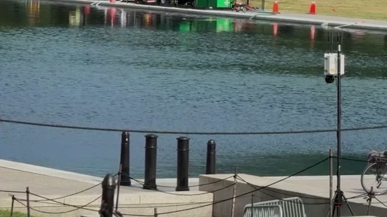 Algas pintan de verde la piscina reflectante del Memorial a Lincoln tras millonaria renovación