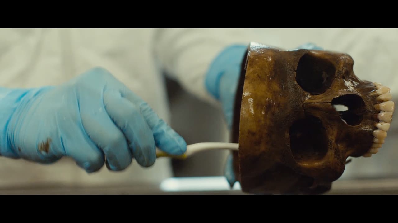 Se presenta en las Naciones Unidas 'To end a war': un documental que explora qué necesita un país para cambiar la guerra por la paz