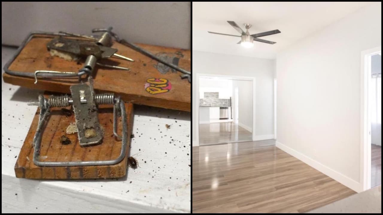 Demandan a dueños de apartamentos por supuestamente discriminar a inquilinos hispanos para que se vayan