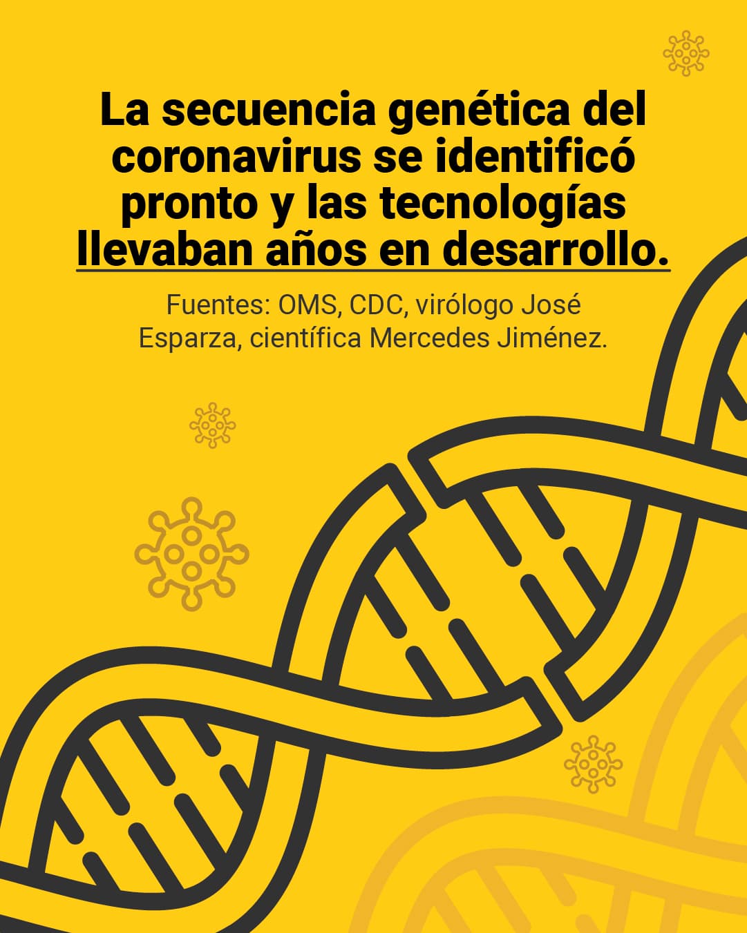 <a href="https://www.univision.com/noticias/dudas-vacunas-fabricacion-rapida-falso">Aquí puedes leer la explicación completa en <b>El Detector</b>.</a>
<br>