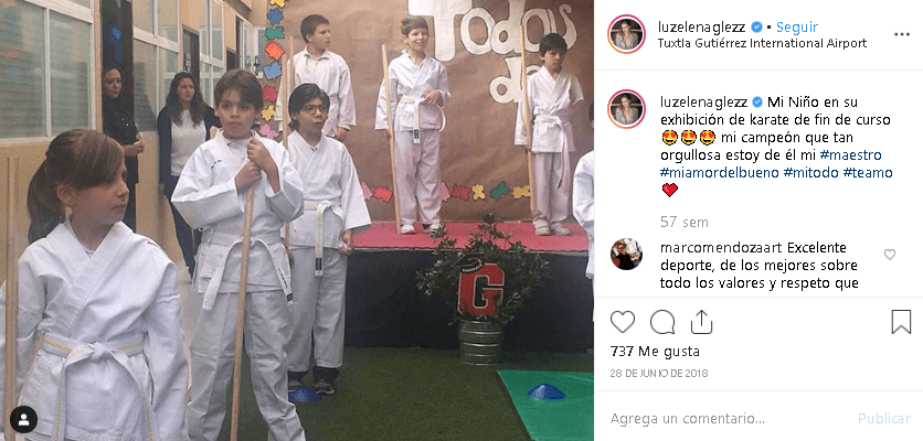 Un artículo de 
<a href="https://www.lasestrellas.tv/espectaculos-1/famosos-1/luz-elena-gonzalez-habla-discapacidad-que-enfrenta-su-hijo-enfermedad" target="_blank">Las Estrellas,</a> fechado el 16 de octubre de 2018, que recupera declaraciones hechas por Luz Elena para el programa Intrusos, afirma que a Santiago le fue descubierta la discapacidad cognitiva leve desde los 8 años de edad.
