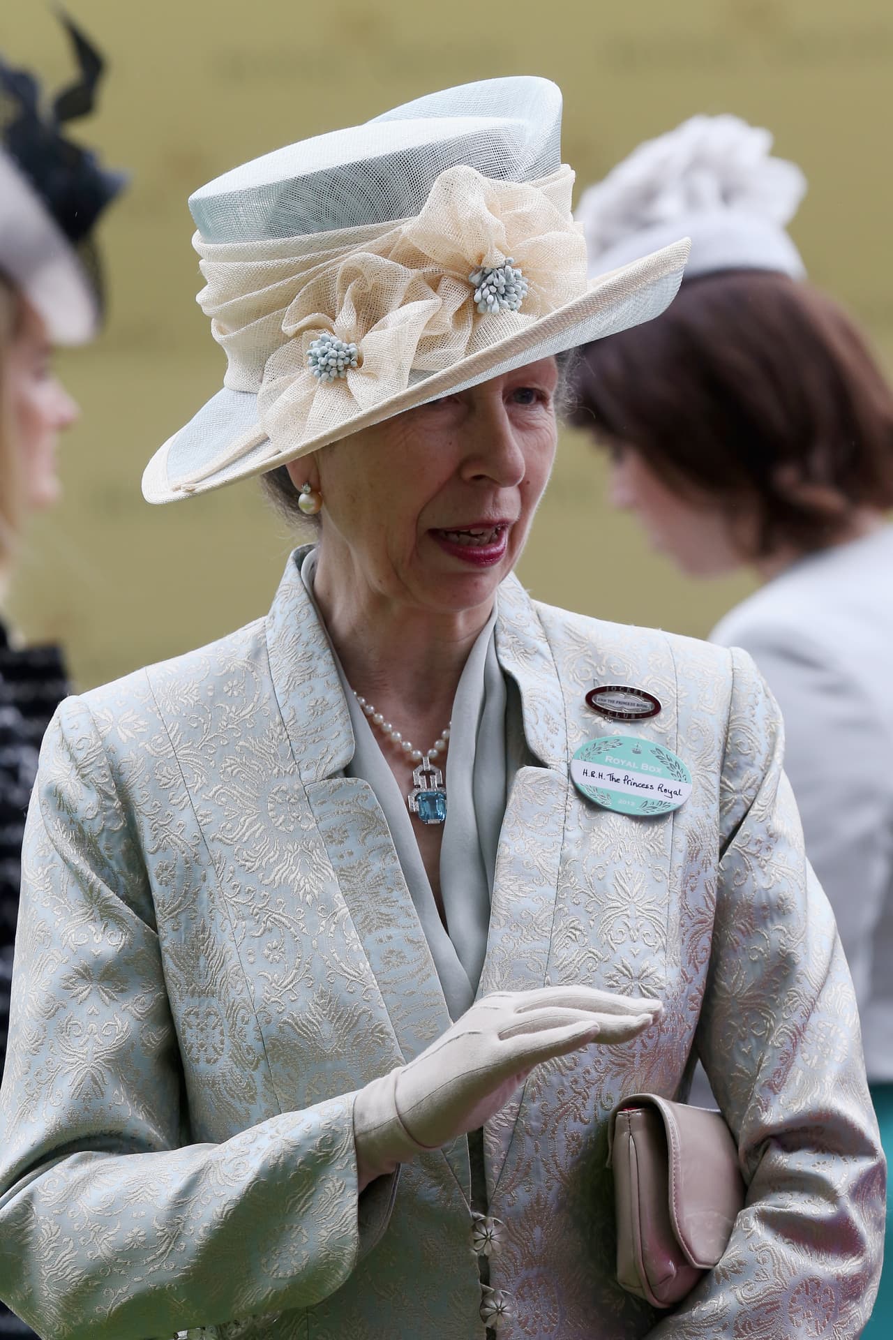 Tal y como sucedió con los hijos de 
<b>la princesa Ana, su tía,</b> quienes al ser fruto del matrimonio con un plebeyo no tenían derecho a un título. Por cortesía, la reina les otorgó un título a sus nietos, pero la princesa los rechazó.